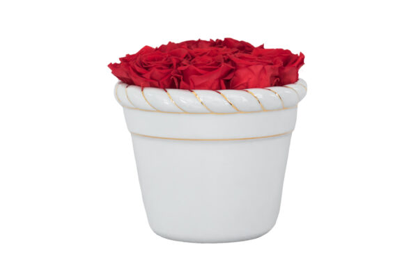 Arranjo Cachepot Sisal