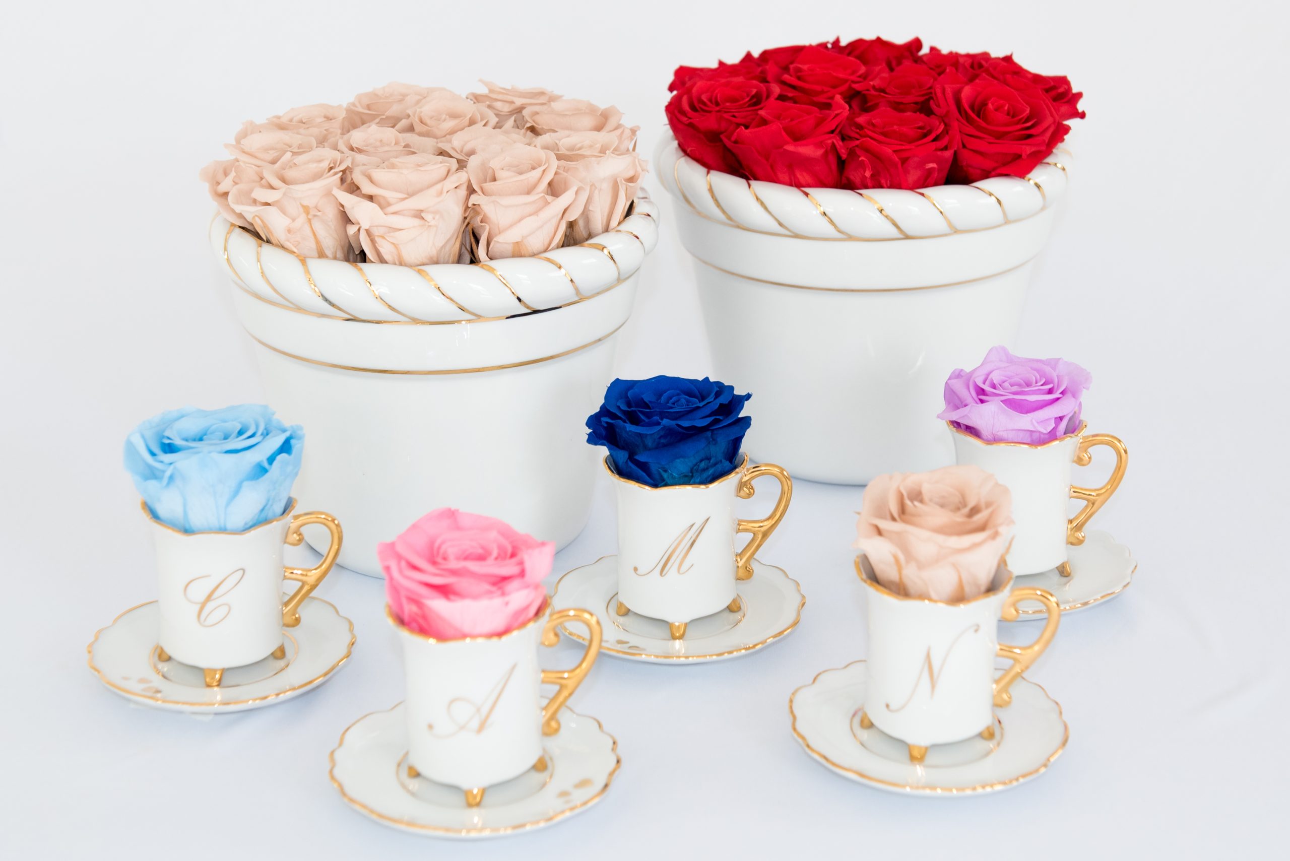 PORCELANAS & ROSAS PRESERVADAS